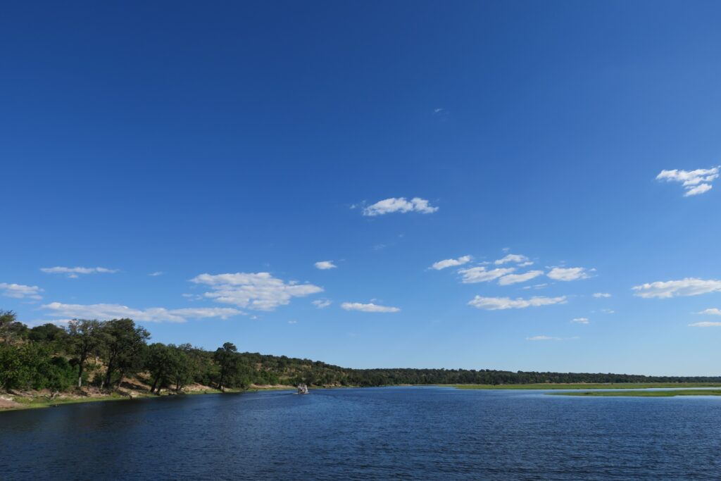 ピンギキュラの原産地ケニア